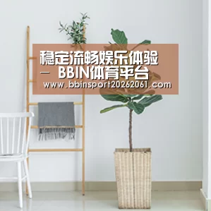 产品名称六(图1)