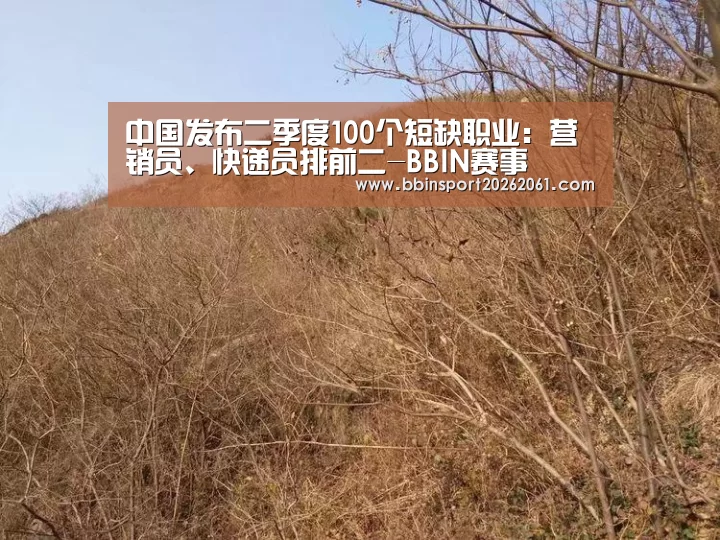 BBIN官网