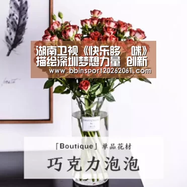 湖南卫视《快乐哆唻咪》描绘深圳梦想力量 创新视角解读城市气质收视再夺冠-BBIN官网(图1) BBIN电竞