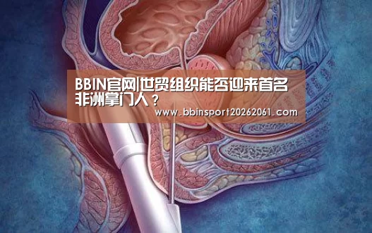 BBIN电竞