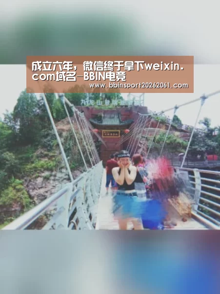 BBIN直播