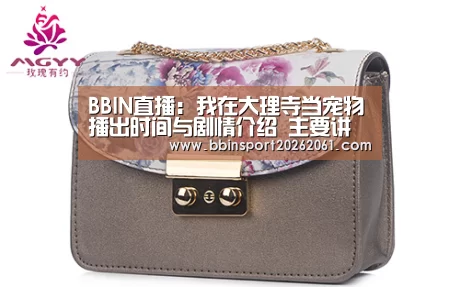 BBIN赛事