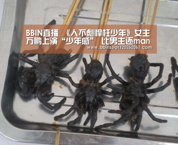 BBIN电竞