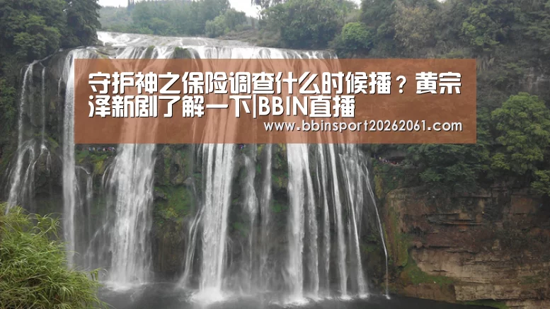 守护神之保险调查什么时候播?黄宗泽新剧了解一下|BBIN直播(图2) BBIN官网