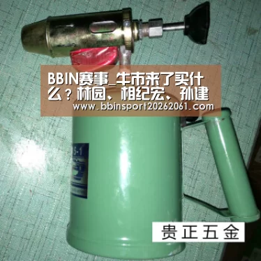 BBIN赛事_牛市来了买什么?林园、相纪宏、孙建冬、陈宇等解析(附财富传奇)(图1) BBIN赛事