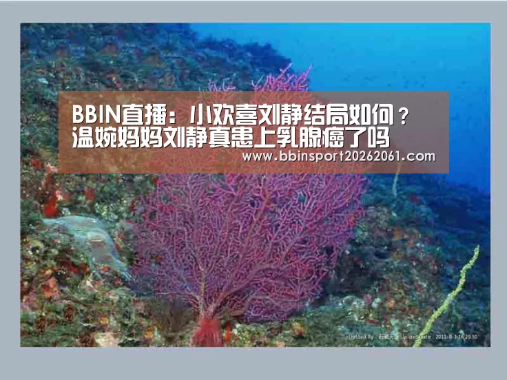BBIN官网