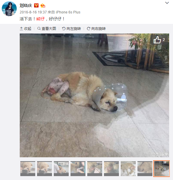 BBIN赛事
