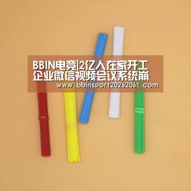 BBIN电竞|2亿人在家开工企业微信视频会议系统崩溃钉钉限流(图3) BBIN电竞