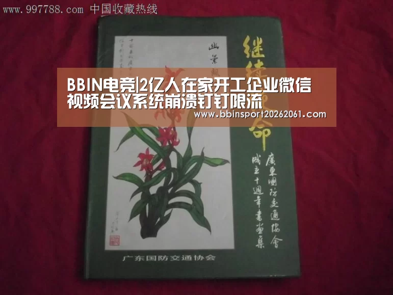 BBIN电竞|2亿人在家开工企业微信视频会议系统崩溃钉钉限流(图2) BBIN官网