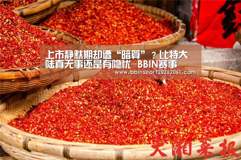 上市静默期却遭“暗算”?比特大陆真无事还是有隐忧-BBIN赛事(图3) BBIN赛事