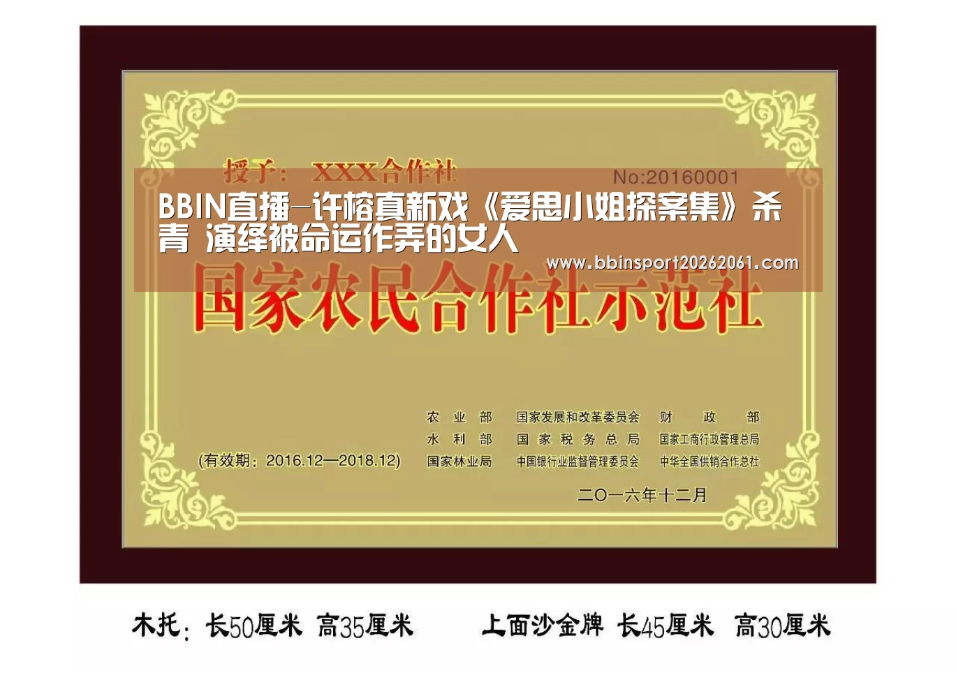 BBIN官网