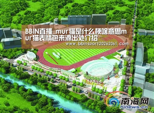 BBIN直播_mur猫是什么梗啥意思mur猫表情包来源出处介绍(图2) BBIN官网