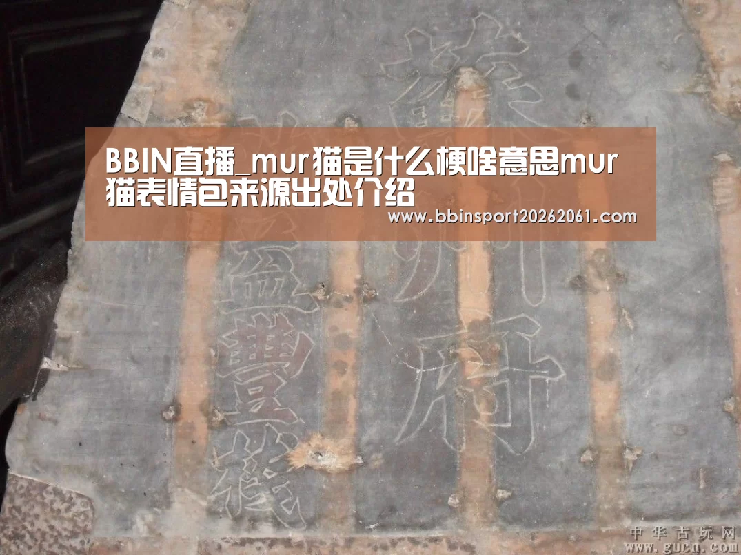 BBIN直播_mur猫是什么梗啥意思mur猫表情包来源出处介绍(图3) BBIN官网