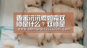 香蜜沉沉烬如霜双修是什么?双修是行房事的意思吗?-BBIN电竞(图1) BBIN电竞