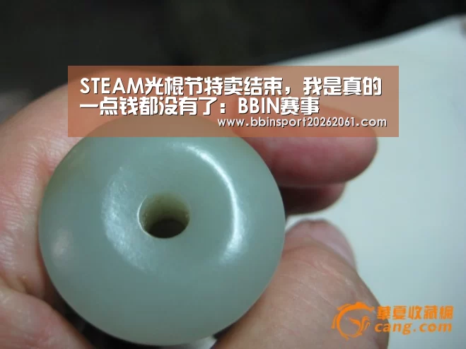 STEAM光棍节特卖结束,我是真的一点钱都没有了:BBIN赛事(图2) BBIN直播